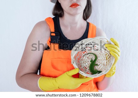 Slender girl in orange fashionable semi-overalls, orange hat and yellow household gloves, with sunglasses holding live green lizard and to playing with her. Concept care, careful attitude for animals