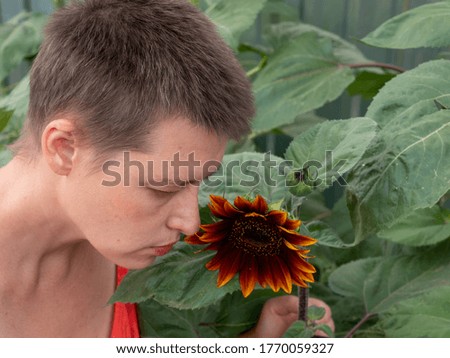 Similar – Sonnenblumen vor einem Haus