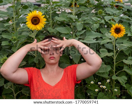 Similar – Sonnenblumen vor einem Haus