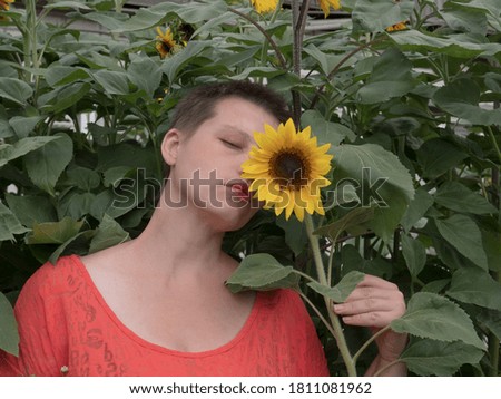 Similar – Sonnenblumen vor einem Haus