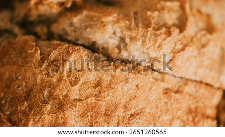 A slice of bread with a brown crust and a slightly burnt edge. The bread is slightly toasted and has a slightly crispy texture