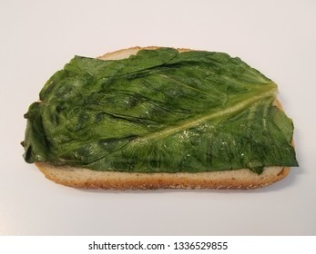 slice of bread on white surface with leafy green lettuce