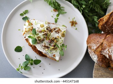 Slice of brown bread with sprouts / Delicious Healthy breakfast full of vitamins