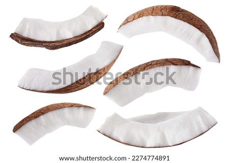Slice of coconut isolated on white background. Collection