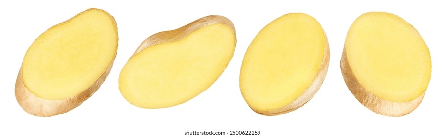 Slice of ginger root isolated on white background