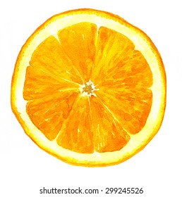 slice of orange drawing by watercolor, artistic painting citrus fruit, hand drawn illustration
