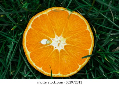 Slice of orange in a grass background