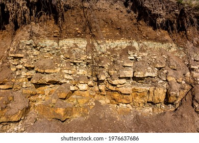 A slice of sedimentary rocks of Carboniferous clay and limestone, covered on top with a layer of Quaternary sediments. Kaluzhskiy region, Russia
 - Shutterstock ID 1976637686