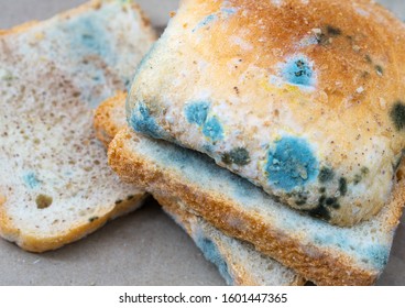 Sliced bread with fungal mold. Spoiled, moldy inedible food. Close-up, selective focus.