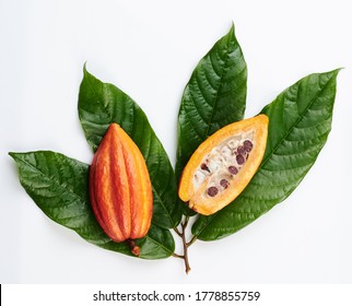 Sliced cacao pod on green leafs isolated on white background
