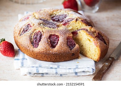 Sliced Delicious Strawberry One Layer Cake Powdered With Sugar. Close Up. 