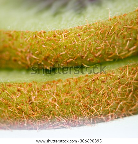 Similar – Image, Stock Photo poppy seed detail Poppy