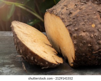 Sliced Konjac On The Table