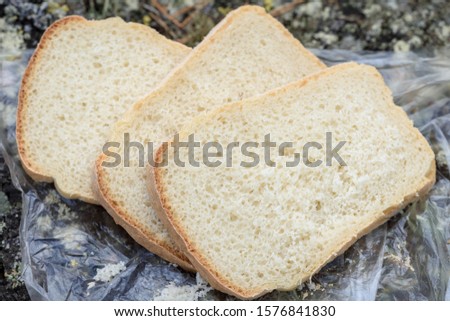 Sliced loaf of white bread on the nature in camping trip