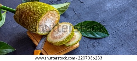 Sliced ​​fresh raw green jackfruit reveals the white pulp and white latex of the jackfruit.