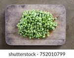 Sliced yard long bean vegetable on wooden block.long bean preparation in thai kitchen.