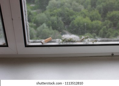 Sliding Mosquito Net, Cigarette And Poplar Fluff