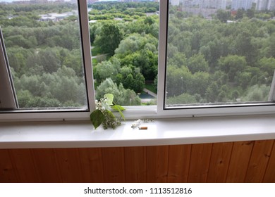 Sliding Mosquito Net, Cigarette And Poplar Fluff