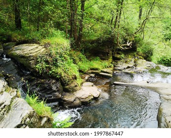 Slieve Bloom Mountains Laois Ireland