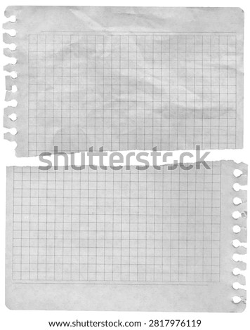Slightly crumpled torn sheets of notebook graph paper with detailed texture of ripped edges perforation isolated for message background