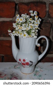 Slightly Wilting Daisy Flowers In A White Teapot