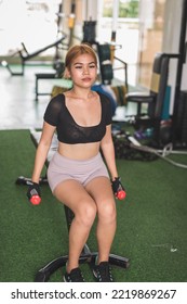 A Slim Asian Woman Does Seated Dumbbell Hammer Curls On A Flat Bench At The Gym. Wearing A Black Crop Top And Bike Shorts.