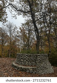 A slim, leaf-covered path climbs through a still forest, softly lit by plain white lamps. Beside the trail rests a weathered stone, from whose heart a tree rises, blending naturally into the warm autu