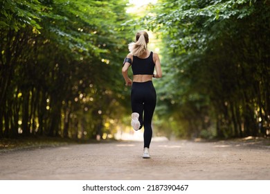 Slim well-fit woman in tight black sportswear jogging alone by green public park, enjoying morning workout outdoors, back view, copy space, full length shot. Millennials lifestyle and sports concept