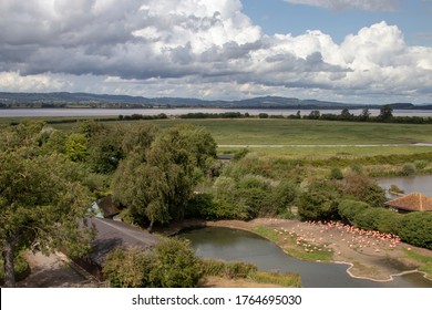 Slimbridge Nature Reserve, Overlooking The Severn Estuary. 