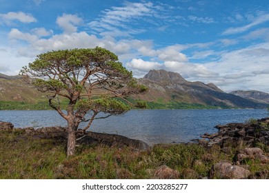 Slioch And Loch Maree, Scotland