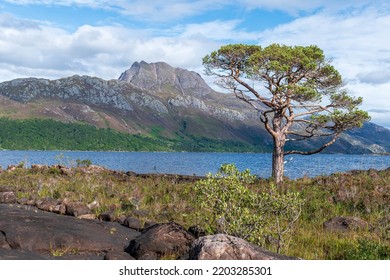 Slioch And Loch Maree, Scotland