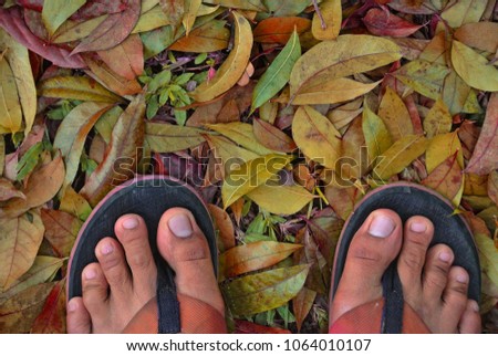 Similar – Image, Stock Photo Where are you going?