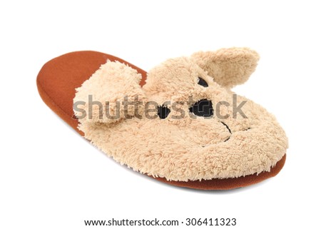 Slippers isolated on white
