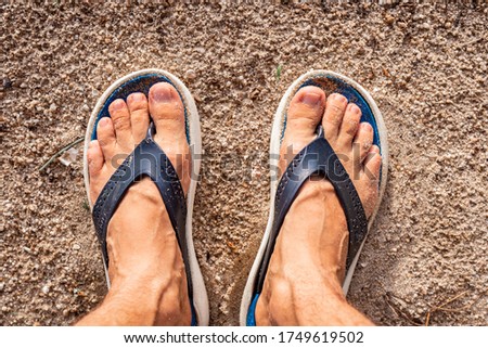 Similar – Image, Stock Photo sandpiper Flip-flops