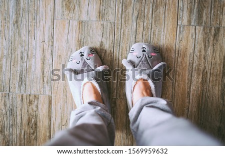 Slippers on women's legs cat face  gray. Feet female wearing cute house slippers made in the form of kawaii cat.
