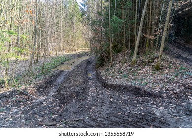 Slobbery Forest Path