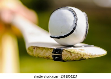 Sloitar (ball) on a hurl, used in the Irish game of Hurling, the fastest ball game in the world. - Shutterstock ID 1391505227