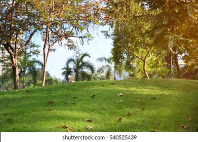 Slope Of Grass