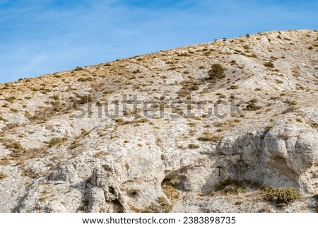 Slope of stone mountain with parse trees in close-up against blue sky
