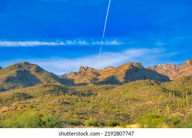 Sloped Land Of Tucson, Arizona With Tall Cactus Near The Mountain Range. View Of A Tree-like Cactuses Against The Mountain Range And Sky With Jet Smoke Trail.