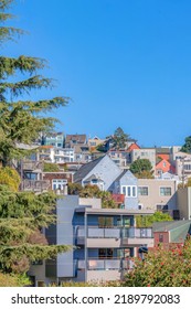 Sloped residential buildings in San Francisco, California. There is a pine tree on the left at the front of dense large residential buildings with balconies against the clear blue sky. - Shutterstock ID 2189792083