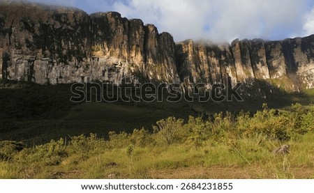 Slopes of Mount Roraima, triple border between Venezuela, Brazil and Guyana
