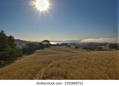 The Sloping Hills Of Central California. Wilderness For Miles. The Great Outdoors. Dry Summer Day