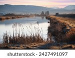 Slough at the Skagit Wildlife Area, Fir Island Farm Reserve. With over 200 acres of estuary in this protected zone, this birding habitat is intended to protect many animals passing through over winter