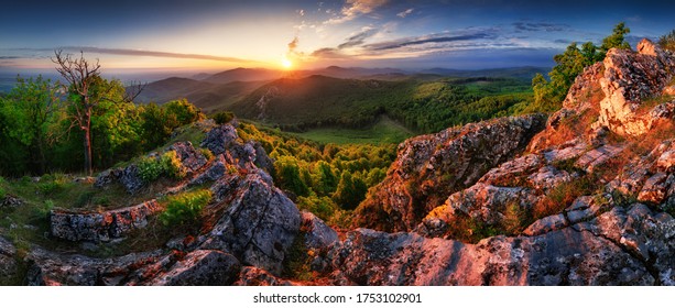 Ko Ubevæbnet Surrey Slovakia Nature Images, Stock Photos & Vectors | Shutterstock