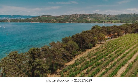 Slovenia Wine Road. Travel In Europe.