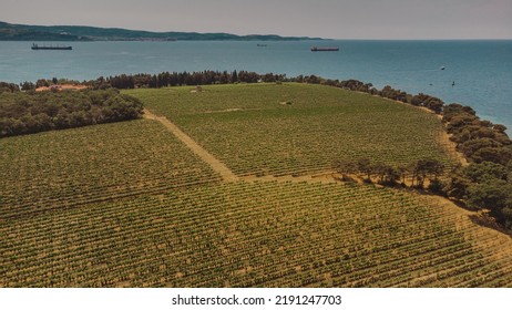 Slovenia Wine Road. Travel In Europe.