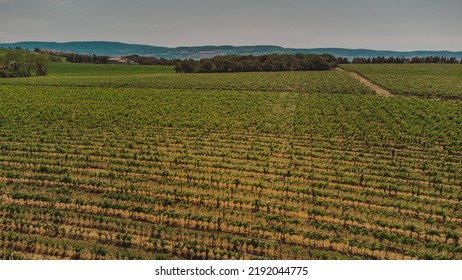 Slovenia Wine Road. Travel In Europe.