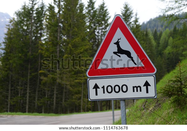 Slow down – Deer Crossing! Keep deer and humans\
safe, to preserve nature and prevent accidents. Give drivers plenty\
of warning, so they know to be on the lookout. Browse our selection\
of deer crossing