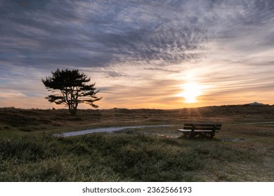 Slow down at the park in the Netherlands. Take a seat at the wooden bench and enjoy the wideness of the dunes, with it's solitary tree and lovely sunset.